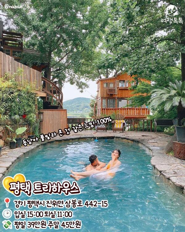 국내 이국적인 숙소 평택 트리하우스 /&nbsp;@nabae._.b&nbsp;&nbsp;