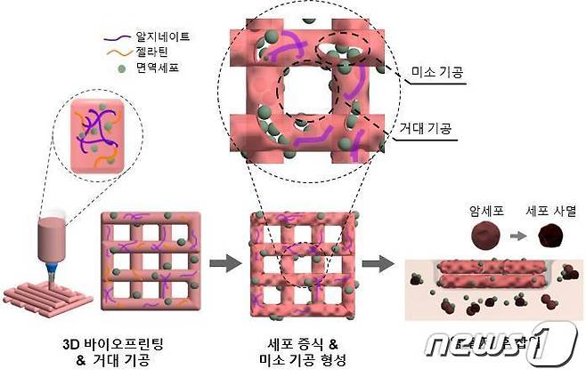 3D 바이오프린팅 NK 세포의 면역 치료 과정(한국기계연구원 제공)/뉴스1