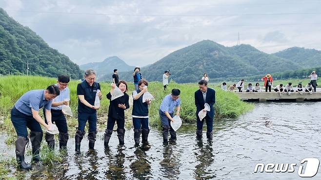 어름치 방류 모습 (금강청 제공)/뉴스1