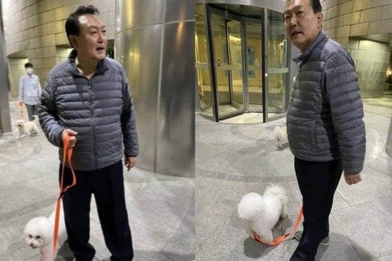 지난해 5월 인터넷 커뮤니티에 공개된 윤석열 대통령의 반려견 산책모습. (엠엘비파크 갈무리) © 뉴스1 나주희 기자 /사진=뉴스1