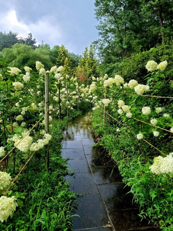 전남도 제2호 민간정원 ‘죽화경'./사진=담양군