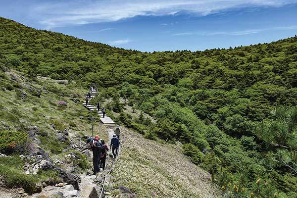윗세오름대피소에서 남벽분기점으로 이어진 길. 저 짙은 숲 오른쪽이 방애오름에 가 닿는다.