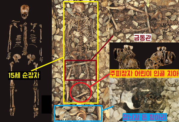 임당유적 조영동 고분의 주인공은 3~5세 어린아이로 추정된다. 두개골 일부와 치아 일부가 남아 있는 아이의 인골에는 귀고리와 옥장신구가 착장돼 있다. 아이의 인골 머리맡 항아리 속에는 장난감이 들어 있었다. 그 인골과 반대 방향으로 겹쳐 15세 전후의 순장자 인골이 뚜렷하게 남아 있다. 신분이 높은 아이가 죽자 15세 전후의 시종(몸종)을 순장한 것으로 판단된다. / 영남대박물관 제공