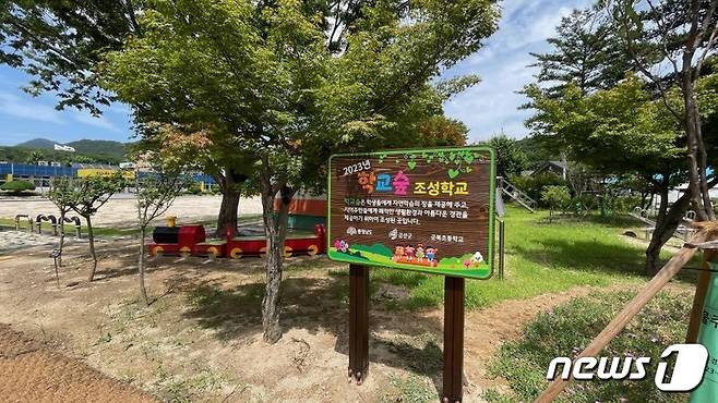 학교에 조성된 학교 숲 모습.(금산군 제공)/2023.7.13.  뉴스1