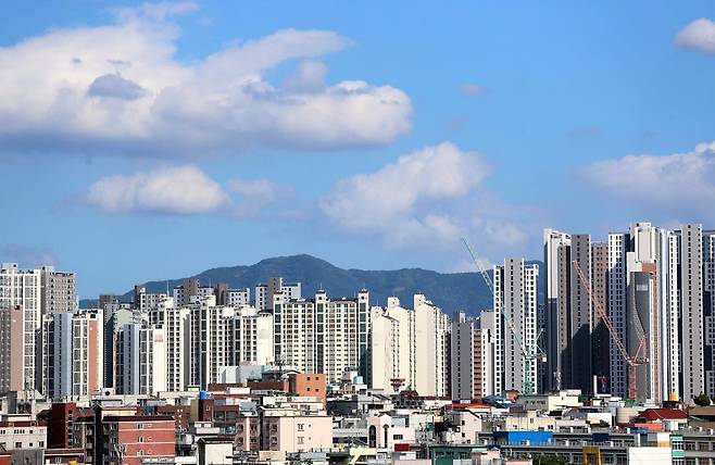 최근 부동산 시장의 가장 큰 특징은 수도권과 지방 부동산의 양극화 현상이다. 사진은 지난 2022년 6월 30일 대구 서구 아파트 전경./연합뉴스
