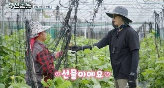 /사진=tvN '부산촌놈 in 시드니'