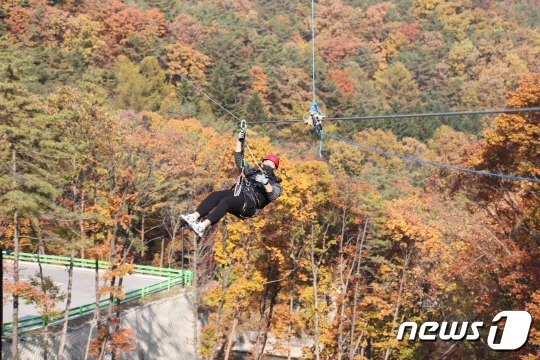 속리산레포츠가 운영하는 집라인 모습. (보은군 제공) /뉴스1