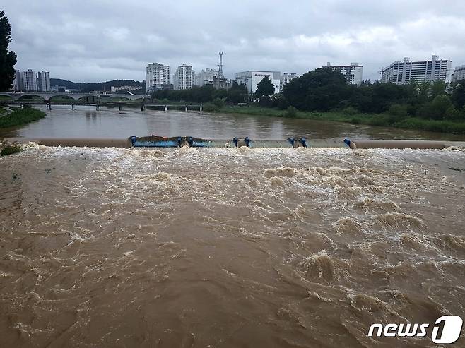 밤사이 많은 장맛비가 내린 14일 오전 충북 증평군 보강천이 흙빛 물줄기를 이루며 거세게 흐르고 있다.(사진은 기사 내용과 무관함) /뉴스1