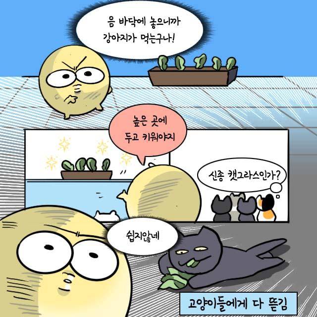 감자 작가 인스타툰. 감자 작가 제공