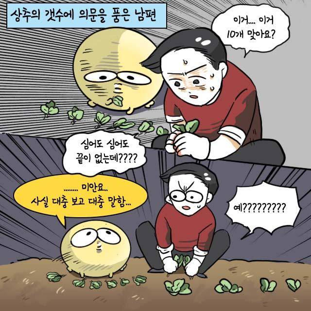 감자 작가 인스타툰. 감자 작가 제공