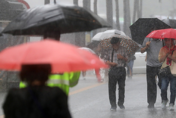 장마가 이어진 지난 13일 오후 서울 중구 을지로1가 사거리 인근에서 우산을 쓴 시민들이 발걸음을 재촉하고 있다. [사진=뉴시스]
