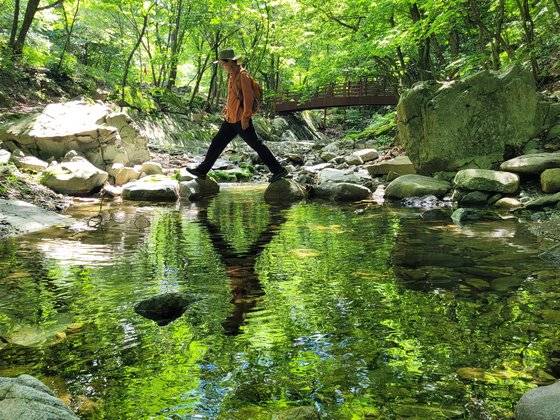 죽파리 마을에서 자작나무 숲으로 가는 길. 맑은 계곡이 흐른다.