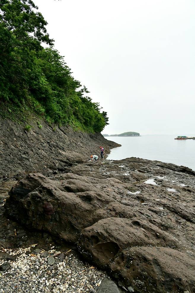 죽도 해안