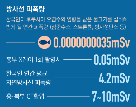 출처=한국원자력연구원, 그래픽=조선일보 디자인팀