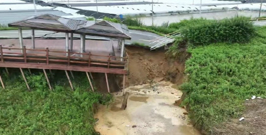 16일 오전 충남 논산시 성동면 우곤리 인근 금강 제방이 무너졌다. 사진=연합뉴스