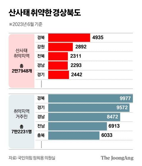 김영희 디자이너