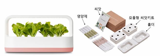 LG전자가 LG 틔운과 틔운 미니에서 씨앗을 직접 심고 반려식물 생활을 즐기는 '모듈형 씨앗키트'를 17일 출시한다. 다 자란 식물 모듈은 다른 장소에 옮겨 감상하거나 화분에 옮겨 심을 수 있다. 사진은 모듈형 씨앗키트와 홀더를 포함한 LG 틔운 미니 신제품 구성./사진제공=LG전자