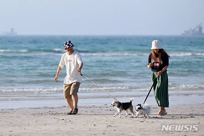 [제주=뉴시스] 공항사진기자단 = 반려동물 여행플랫폼 반려생활의 '댕댕이 제주 전세기'를 타고 제주에 도착한 시민들과 반려견이 지난 19일 협재 해수욕장에서 산책을 하고 있다. 2023.05.22. photo@newsis.com