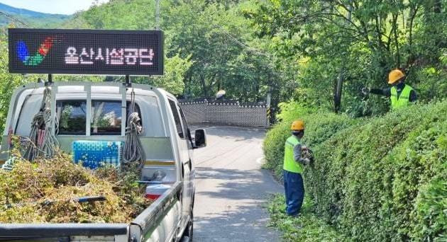 울산시설공단 가로녹지팀이 지난 12일 울산 태연재활원을 방문해 조경관리 재능기부 봉사활동을 하고 있다.사진제공ㅣ울산시설공단