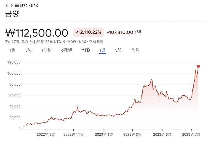 금양의 최근 1년간 주가 추이 [출처 : 구글 파이낸스]