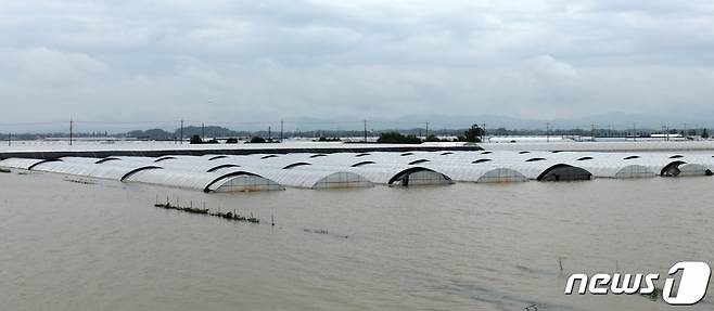 16일 전북 익산시 용안면 한 시설하우스 일대가 폭우로 인해 물에 잠겨 있다. /사진=뉴스1