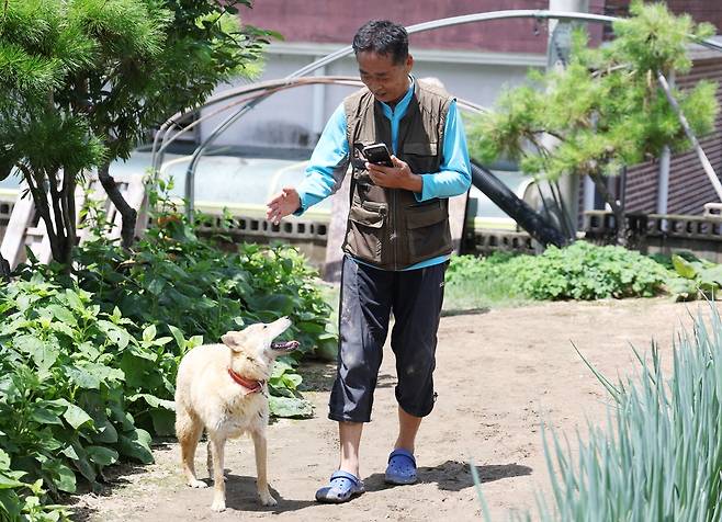 '살아 돌아온 예천 반려견 진순이' (예천=연합뉴스) 박세진 기자 = 17일 오전 경북 예천군 감천면 벌방리 주민 권호량(73)씨가 지난 15일 새벽 폭우에 실종됐다가 27시간 만에 돌아온 반려견 진순이와 함께 마을을 돌아다니고 있다.2023.7.17 psjpsj@yna.co.kr