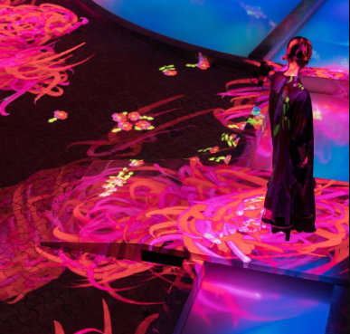 ‘목욕탕 폐허에 꽃 폭격’ 작품 / 사진=팀랩 공식 홈페이지