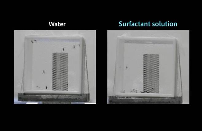 물을 뿌린 모기(왼쪽)는 우리 안에서 계속 날았으나 계면활성제 용액을 뿌린 모기(오른쪽)는 더는 날지 못하고 추락했다. 가오 코퍼레이션 제공