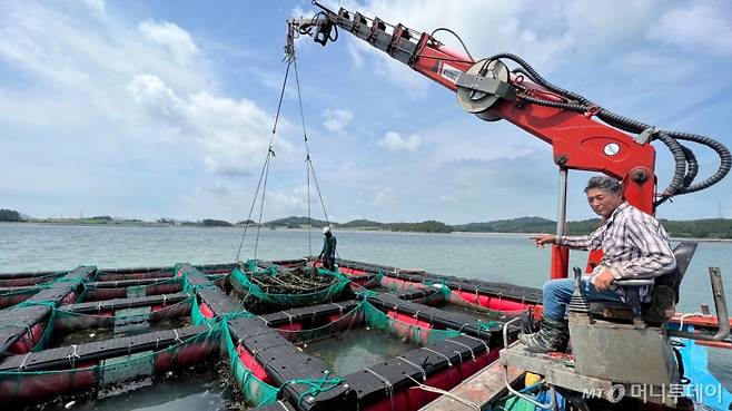 19일 오후 전라남도 신안군에서 전복 양식장을 운영하는 정영규씨가 재고로 쌓인 전복 1칸을 보여주고 있다. 출하됐어야 되는 전복 98칸(7톤)이 재고로 쌓여있다./사진=양윤우 기자