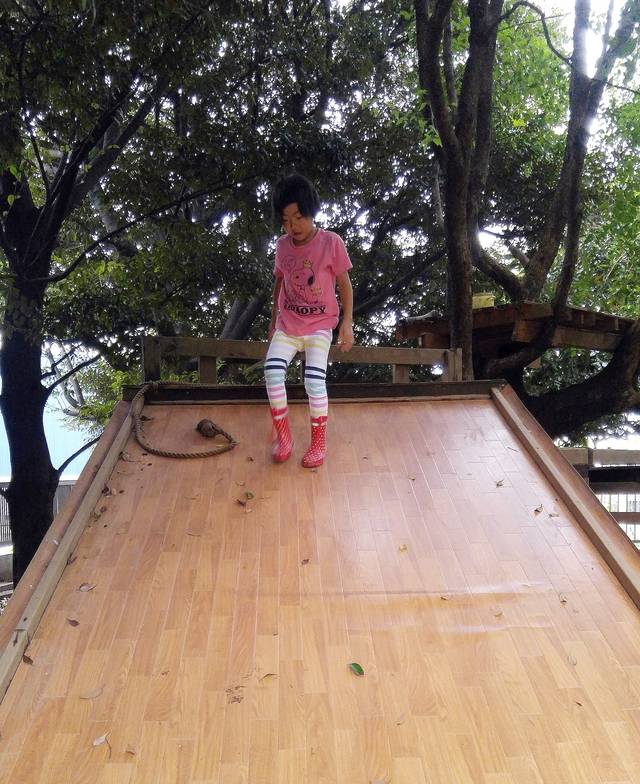줄을 잡고 장판을 깔아 만든 미끄럼틀을 올라가면 나무에 오를 수 있다.