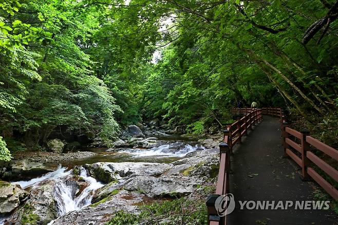 무주 구천동 [연합뉴스 자료사진]