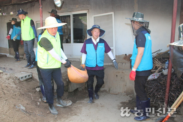 윤성훈 경북농협본부장(앞줄 왼쪽부터)과 이달호 예천농협 조합장, 농협 직원 등이 22일 예천군 감천면 벌방리에서 수해 복구 작업을 하고 있다.