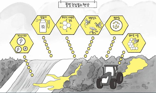 ▲ 꿀벌군집붕괴를 부르는 잠재적 원인은 전자파, 제초제와 살충제, 인공사육에 의한 유전변이 부족, 환경 변화와 단일 밀원 섭취, 잦은 벌통 임대와 이동 등이다. 특히 네오니코티노이드 계열 살충제의 생태계 오염은 주범의 하나로 지적받고 있다. ⓒ김소희