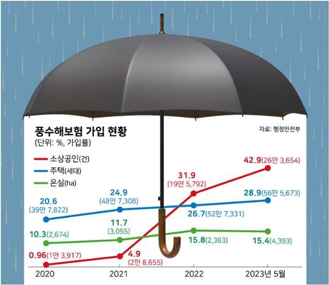 풍수해보험 가입 현황. 그래픽=강준구 기자