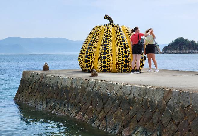 나오시마 노랑호박