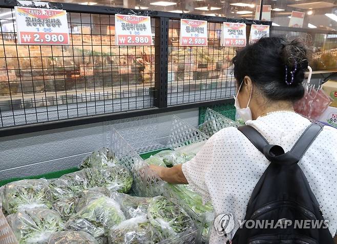 집중 호우에 가격 폭등한 상추 (서울=연합뉴스) 김성민 기자 = 집중호우로 인해 농산물 생산에 지장이 가며 시금치와 상추, 오이 등의 농산물 가격이 크게 오른 18일 오후 서울 서대문구 영천시장에서 시민들이 채소를 고르고 있다. 
    한국농수산식품유통공사 농산물유통정보에 따르면 시금치 가격은 4kg에 5만4천780원으로 한 달 전인 1만7천170원에 비해 219% 상승했다. 적상추 4kg 도매가격은 한달 전에 비해 194.9% 오른 5만7천40원, 오이 100개 도매가격은 한 달 전에 비해 53.4% 오른 6만2천325원으로 집계됐다. 2023.7.18 ksm7976@yna.co.kr