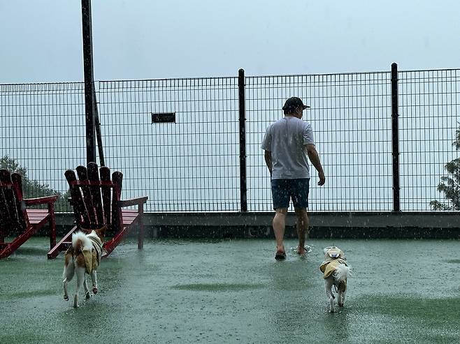 프라이빗 운동장에서 뛰어놀고 있는 여름이와 밤톨/사진=김아름 기자 armijjang@