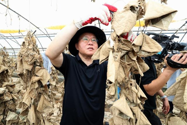 윤재옥 국민의힘 원내대표가 24일 오전 수해 피해를 본 충청북도 청주시 오송읍 호계리에서 수해복구 봉사활동을 하고 있다. 뉴시스