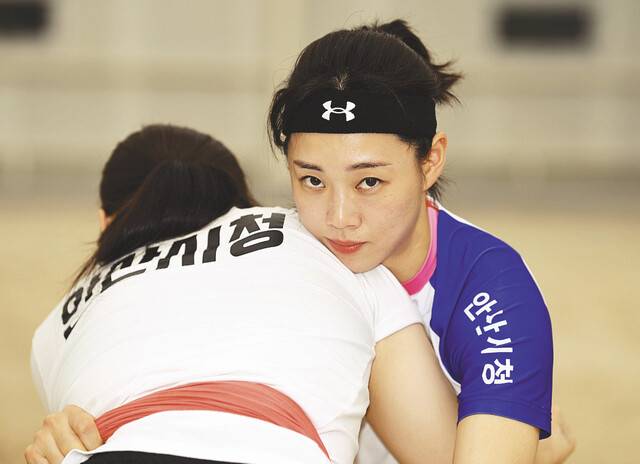 김은별이 지난 12일 경기도 안산에 위치한 안산시청 씨름부 훈련장에서 동료 선수와 어깨를 맞대며 포즈를 취하고 있다. 그동안 남성의 전유물로 인식됐던 씨름에서 김은별은 그 좁은 판을 뒤집고 꿋꿋이 샅바를 맸다. 그는 ‘매화장사’라는 꿈을 향해 오늘도 열심히 훈련 중이다. 안산=최현규 기자