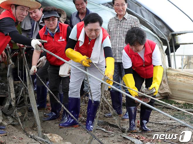 김기현 국민의힘 대표가 25일 전북 익산시 용안면 수해피해 지역을 찾아 봉사활동을 하고 있다. 2023.7.25/뉴스1 ⓒ News1 유경석 기자