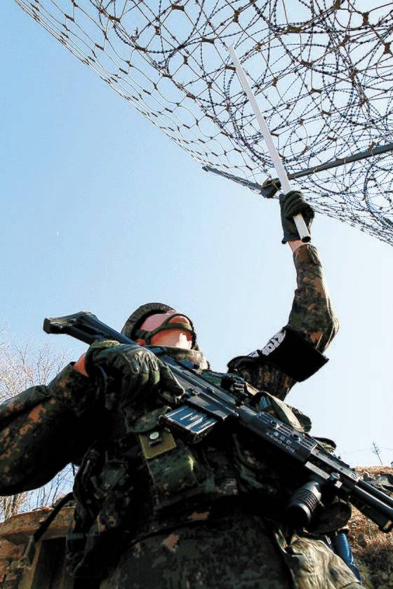 경기 연천 철책서에서 경계병이 과학화 경계 시스템의 감시기가 촘촘하게 달린 광망을 점검하고 있다. 육군