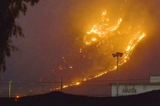 남유럽 산불 확산 ... 팔레르모공항 폐쇄