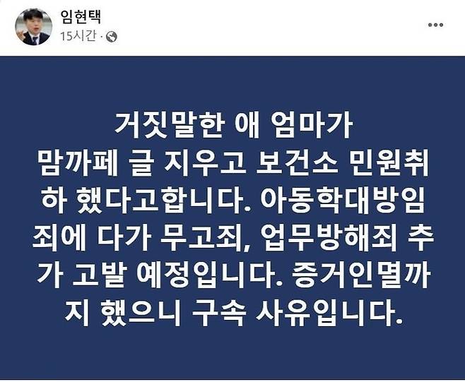 임현택 대한소아청소년과의사회장 페이스북 캡처