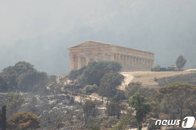 25일(현지시간) 이탈리아 남부 시칠리아주(州) 세제스타에 있는 고대 그리스 유적지 세게스타 신전 앞 나무들이 산불에 검게 그을린 모습이다. 2023.7.25. ⓒ 로이터=뉴스1 ⓒ News1 김성식 기자