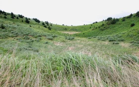 용눈이오름 능선에서 바라본 굼부리(분화구). 옛날에는 이 굼부리 아래로도 내려갔었는데 지금은 길을 막았다. 능선을 따라 굼부리를 한 바퀴 도는 트레킹도 중간에 길을 막아 불가능하게 됐다.