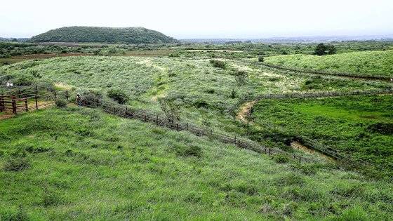 용눈이오름 능선에서 내다본 제주 동부 중산간. 앞에 보이는 오름이 아끈다랑쉬오름이다.