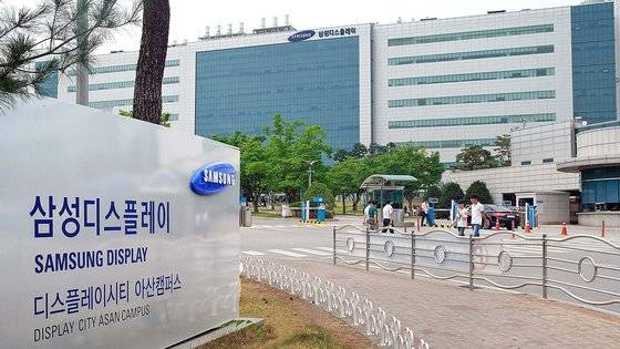 2019년 11월 11일 당시 삼성디스플레이 디스플레이시티 아산캠퍼스. 연합뉴스