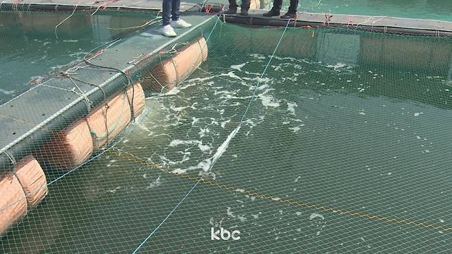 ▲ 자료 이미지&nbsp;