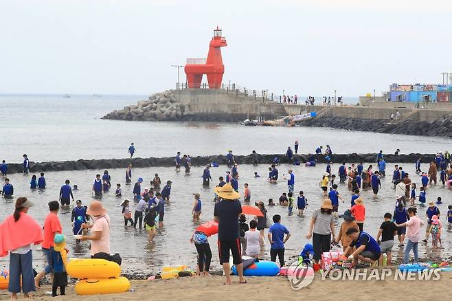 제주 원담 고기잡이 체험 [연합뉴스 자료사진]