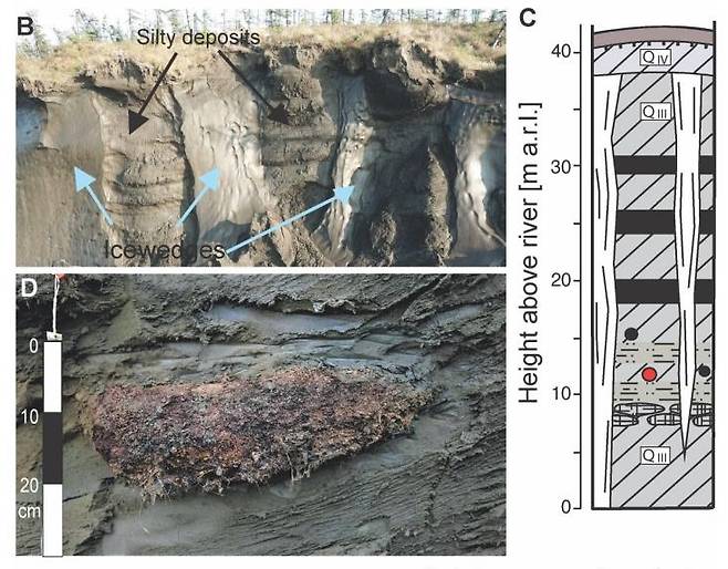 동토층 모습 [PLOS GENETICS 게재 논문 캡처. 재판매 및 DB 금지]